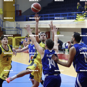 ΕΡΓΟΤΕΛΗΣ ΠΕΥΚΗ