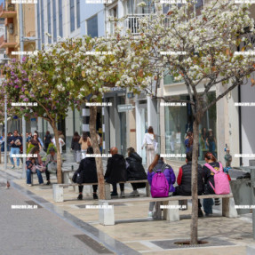 ΑΥΤΟΚΙΝΗΤΑ ΣΤΗ ΔΙΚΑΙΟΣΥΝΗΣ