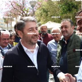 ΕΠΙΣΚΕΨΗ ΑΝΔΡΟΥΛΑΚΗ ΣΤΗΝ ΑΓΟΡΑ