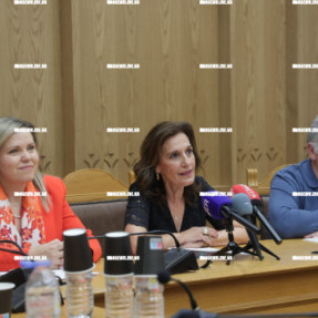 ΣΥΝΕΝΤΕΥΞΗ ΤΥΠΟΥ ΓΙΑ ΔΙΗΜΕΡΙΔΑ ΓΙΑ ΤΟ ΕΡΓΟΝΤΟΥ ΣΤΕΡΓΙΟΥ ΣΠΑΝΑΚΗ