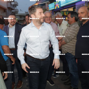 Ο ΝΙΚΟΣ ΑΝΔΡΟΥΛΑΚΗΣ ΣΤΑ ΚΑΜΙΝΙΑ