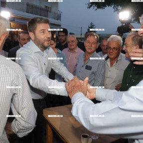 Ο ΝΙΚΟΣ ΑΝΔΡΟΥΛΑΚΗΣ ΣΤΑ ΚΑΜΙΝΙΑ