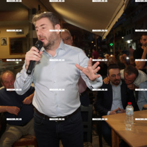 Ο ΝΙΚΟΣ ΑΝΔΡΟΥΛΑΚΗΣ ΣΤΑ ΚΑΜΙΝΙΑ