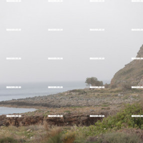 ΑΦΡΙΚΑΝΙΚΗ ΣΚΟΝΗ