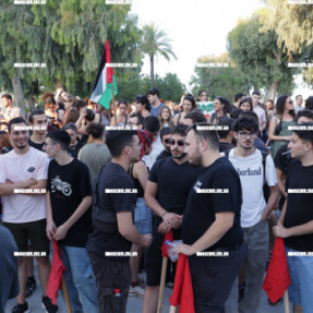 ΔΙΑΜΑΡΤΥΡΙΑ ΓΙΑ ΤΟΝ ΠΟΛΕΜΟ ΚΑΤΑ ΤΙΣ ΠΑΛΑΙΣΤΙΝΗ