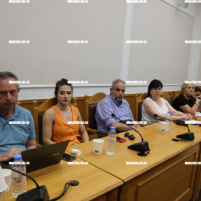 ΣΥΣΚΕΨΗ ΓΙΑ ΤΗΝ ΣΤΑΦΙΔΑ ΚΑΙ ΤΟΥΣ ΑΜΠΕΛΩΝΕΣ