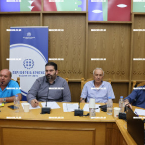 ΣΥΣΚΕΨΗ ΓΙΑ ΤΗΝ ΣΤΑΦΙΔΑ ΚΑΙ ΤΟΥΣ ΑΜΠΕΛΩΝΕΣ