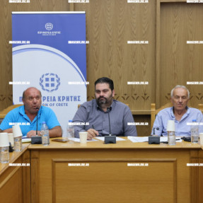 ΣΥΣΚΕΨΗ ΓΙΑ ΤΗΝ ΣΤΑΦΙΔΑ ΚΑΙ ΤΟΥΣ ΑΜΠΕΛΩΝΕΣ