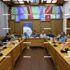 ΣΥΣΚΕΨΗ ΓΙΑ ΤΗΝ ΣΤΑΦΙΔΑ ΚΑΙ ΤΟΥΣ ΑΜΠΕΛΩΝΕΣ