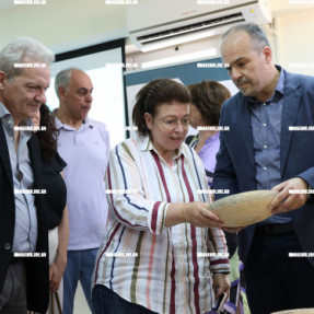 ΣΤΗ ΔΟΜΗ ΞΥΛΟΤΕΧΝΕΙΑΣ ΣΤΟ ΕΛΜΕΠΑ Η ΜΕΝΔΩΝΗ
