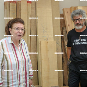 ΣΤΗ ΔΟΜΗ ΞΥΛΟΤΕΧΝΕΙΑΣ ΣΤΟ ΕΛΜΕΠΑ Η ΜΕΝΔΩΝΗ