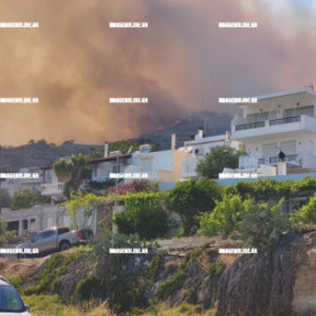 ΦΩΤΙΑ ΣΤΑ ΑΧΛΙΑ ΙΕΡΑΠΕΤΡΑΣ