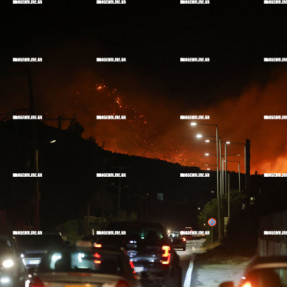 ΣΥΝΕΧΙΖΕΤΑΙ Η ΜΕΓΑΛΗ ΦΩΤΙΑ ΣΤΑ ΑΧΛΙΑ ΙΕΡΑΠΕΤΡΑΣ