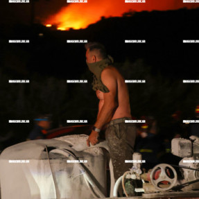 ΣΥΝΕΧΙΖΕΤΑΙ Η ΜΕΓΑΛΗ ΦΩΤΙΑ ΣΤΑ ΑΧΛΙΑ ΙΕΡΑΠΕΤΡΑΣ