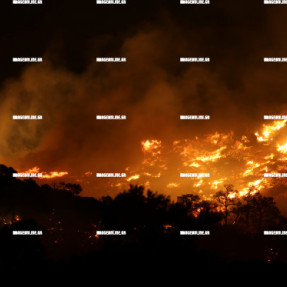ΣΥΝΕΧΙΖΕΤΑΙ Η ΜΕΓΑΛΗ ΦΩΤΙΑ ΣΤΑ ΑΧΛΙΑ ΙΕΡΑΠΕΤΡΑΣ