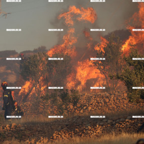 ΔΕΥΤΕΡΗ ΗΜΕΡΑ ΦΩΤΙΑΣ ΣΤΗΝ ΙΕΡΑΠΕΤΡΑ