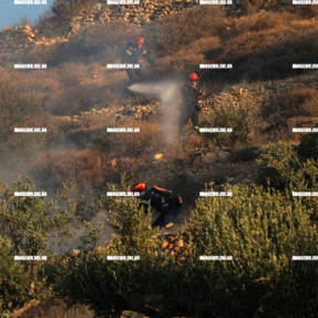 ΔΕΥΤΕΡΗ ΗΜΕΡΑ ΦΩΤΙΑΣ ΣΤΗΝ ΙΕΡΑΠΕΤΡΑ