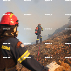 ΔΕΥΤΕΡΗ ΗΜΕΡΑ ΦΩΤΙΑΣ ΣΤΗΝ ΙΕΡΑΠΕΤΡΑ