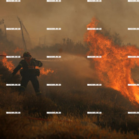 ΔΕΥΤΕΡΗ ΗΜΕΡΑ ΦΩΤΙΑΣ ΣΤΗΝ ΙΕΡΑΠΕΤΡΑ