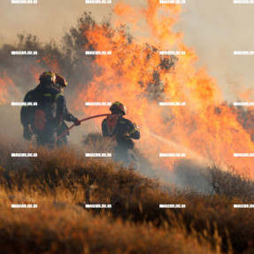 ΔΕΥΤΕΡΗ ΗΜΕΡΑ ΦΩΤΙΑΣ ΣΤΗΝ ΙΕΡΑΠΕΤΡΑ