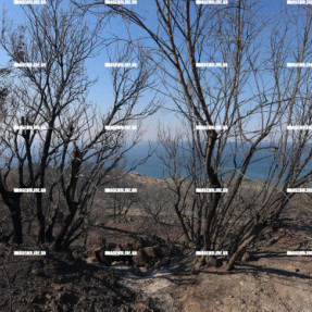 ΔΕΥΤΕΡΗ ΗΜΕΡΑ ΦΩΤΙΑΣ ΣΤΗΝ ΙΕΡΑΠΕΤΡΑ