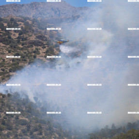 ΑΝΑΖΩΠΥΡΩΣΗ ΤΗΣ ΦΩΤΙΑΣ ΣΤΗΝ ΙΕΡΑΠΕΤΡΑ