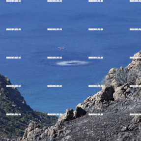 Η ΕΠΟΜΕΝΗ ΜΕΡΑ ΤΗΣ ΦΩΤΙΑΣ ΣΤΑ ΤΕΜΕΝΙΑ