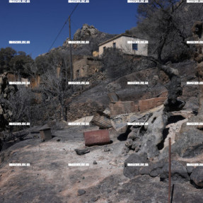 Η ΕΠΟΜΕΝΗ ΜΕΡΑ ΤΗΣ ΦΩΤΙΑΣ ΣΤΑ ΤΕΜΕΝΙΑ