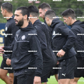 ΠΡΟΠΟΝΗΣΗ ΟΦΗ ΣΤΗΝ ΟΛΛΑΝΔΙΑ