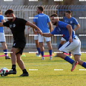 ΗΡΟΔΟΤΟΣ ΖΩΝΙΑΝΑ