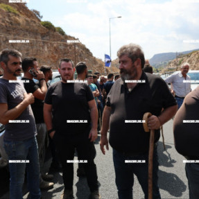 ΔΙΑΜΑΡΤΥΡΙΑ ΚΤΗΝΟΤΡΟΦΩΝ ΑΓΡΟΤΩΝ ΣΤΗΝ ΓΕΦΥΡΑ ΠΑΛΑΙΟΚΑΣΤΡΟΥ
