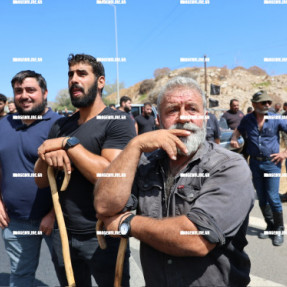 ΔΙΑΜΑΡΤΥΡΙΑ ΚΤΗΝΟΤΡΟΦΩΝ ΑΓΡΟΤΩΝ ΣΤΗΝ ΓΕΦΥΡΑ ΠΑΛΑΙΟΚΑΣΤΡΟΥ