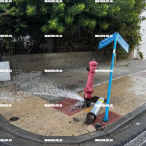 ΤΡΑΚΑΡΙΣΜΕΝΟΣ ΚΡΟΥΝΟΣ ΠΥΡΟΣΒΕΣΤΙΚΗΣ ΣΤΗΝ ΠΑΠΑΝΑΣΤΑΣΙΟΥ