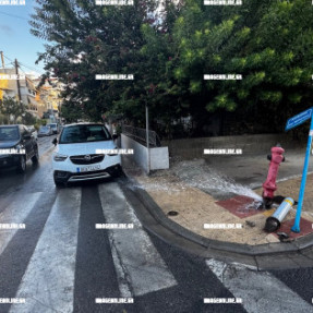 ΤΡΑΚΑΡΙΣΜΕΝΟΣ ΚΡΟΥΝΟΣ ΠΥΡΟΣΒΕΣΤΙΚΗΣ ΣΤΗΝ ΠΑΠΑΝΑΣΤΑΣΙΟΥ