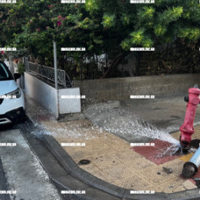 ΤΡΑΚΑΡΙΣΜΕΝΟΣ ΚΡΟΥΝΟΣ ΠΥΡΟΣΒΕΣΤΙΚΗΣ ΣΤΗΝ ΠΑΠΑΝΑΣΤΑΣΙΟΥ