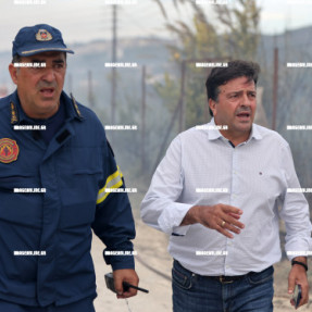 ΦΩΤΙΑ ΣΤΙΣ ΜΑΛΑΔΕΣ