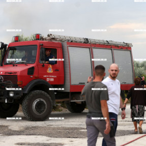 ΦΩΤΙΑ ΣΤΙΣ ΜΑΛΑΔΕΣ