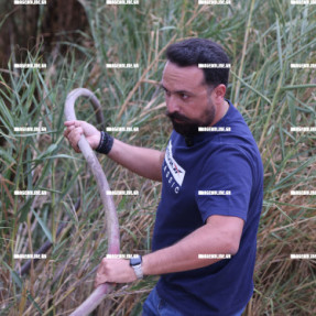 ΦΩΤΙΑ ΣΤΙΣ ΜΑΛΑΔΕΣ