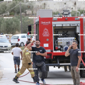 ΦΩΤΙΑ ΣΤΙΣ ΜΑΛΑΔΕΣ