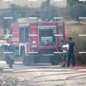 ΦΩΤΙΑ ΣΤΙΣ ΜΑΛΑΔΕΣ