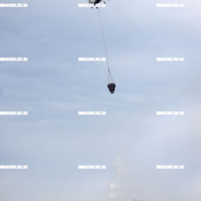 ΦΩΤΙΑ ΣΤΙΣ ΜΑΛΑΔΕΣ