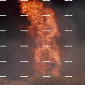 ΦΩΤΙΑ ΣΤΙΣ ΜΑΛΑΔΕΣ