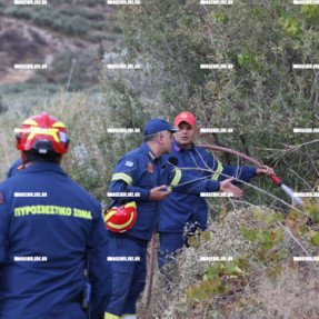 ΦΩΤΙΑ ΣΤΙΣ ΜΑΛΑΔΕΣ