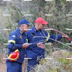 ΦΩΤΙΑ ΣΤΙΣ ΜΑΛΑΔΕΣ