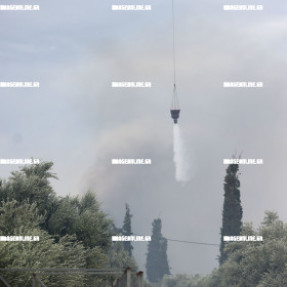 ΦΩΤΙΑ ΣΤΙΣ ΜΑΛΑΔΕΣ