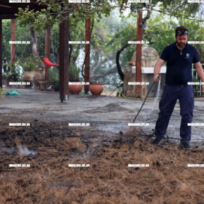 ΦΩΤΙΑ ΣΤΙΣ ΜΑΛΑΔΕΣ