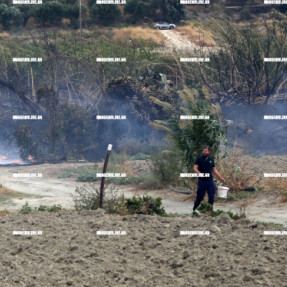 ΦΩΤΙΑ ΣΤΙΣ ΜΑΛΑΔΕΣ