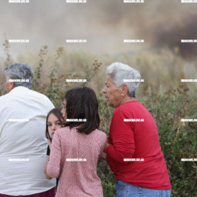 ΦΩΤΙΑ ΣΤΙΣ ΜΑΛΑΔΕΣ