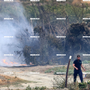 ΦΩΤΙΑ ΣΤΙΣ ΜΑΛΑΔΕΣ