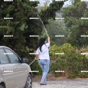 ΦΩΤΙΑ ΣΤΙΣ ΜΑΛΑΔΕΣ